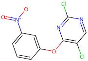 2,5-Dichloro-4-(3-nitrophenoxy)pyrimidine