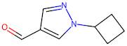 1-Cyclobutyl-1H-pyrazole-4-carbaldehyde