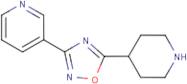 3-[5-(Piperidin-4-yl)-1,2,4-oxadiazol-3-yl]pyridine