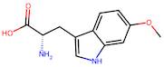 (S)-2-amino-3-(6-methoxy-1H-indol-3-yl)propanoic acid