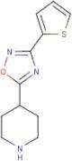 4-[3-(Thien-2-yl)-1,2,4-oxadiazol-5-yl]piperidine
