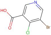 5-Bromo-4-chloronicotinic acid