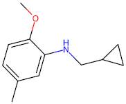 n-(Cyclopropylmethyl)-2-methoxy-5-methylaniline