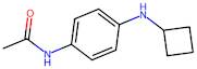 n-(4-(Cyclobutylamino)phenyl)acetamide