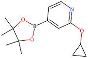 2-Cyclopropoxy-4-(4,4,5,5-tetramethyl-1,3,2-dioxaborolan-2-yl)pyridine