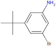 3-Bromo-5-(tert-butyl)aniline