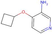 4-Cyclobutoxypyridin-3-amine