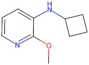 n-Cyclobutyl-2-methoxypyridin-3-amine