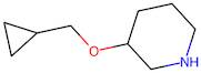 3-(Cyclopropylmethoxy)piperidine