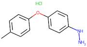 [4-(4-Methylphenoxy)phenyl]hydrazine hydrochloride