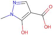 5-Hydroxy-1-methyl-1h-pyrazole-4-carboxylic acid