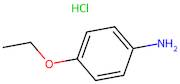 4-Ethoxyaniline hydrochloride