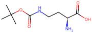 (S)-2-Amino-4-((tert-butoxycarbonyl)amino)butanoic acid