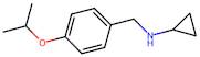 n-(4-Isopropoxybenzyl)cyclopropanamine