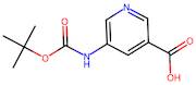 5-((tert-Butoxycarbonyl)amino)nicotinic acid