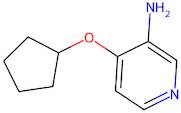 4-(Cyclopentyloxy)pyridin-3-amine