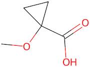 1-Methoxycyclopropane-1-carboxylic acid