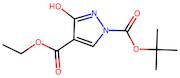 1-tert-Butyl 4-ethyl 3-hydroxy-1H-pyrazole-1,4-dicarboxylate