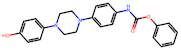 Phenyl (4-(4-(4-hydroxyphenyl)piperazin-1-yl)phenyl)carbamate