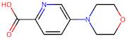 5-Morpholinopicolinic acid