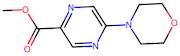 Methyl 5-morpholinopyrazine-2-carboxylate