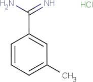 3-Methylbenzamidine hydrochloride