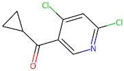 Cyclopropyl(4,6-dichloropyridin-3-yl)methanone