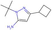 1-(tert-Butyl)-3-cyclobutyl-1H-pyrazol-5-amine