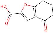 4-Oxo-4,5,6,7-tetrahydrobenzofuran-2-carboxylic acid