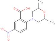 2-(2,6-Dimethylmorpholin-4-yl)-5-nitrobenzoic acid
