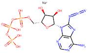 8-Azidoadenosine-5'-triphosphate, sodium salt