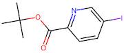 tert-Butyl 5-iodopicolinate