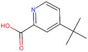 4-(Tert-butyl)picolinic acid