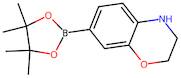 7-(4,4,5,5-Tetramethyl-1,3,2-dioxaborolan-2-yl)-3,4-dihydro-2H-benzo[b][1,4]oxazine