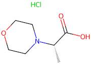 (S)-2-Morpholin-4-yl-propionic acid hydrochloride