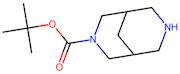 tert-Butyl 3,7-diazabicyclo[3.3.1]nonane-3-carboxylate