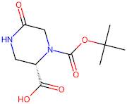 (S)-1-(tert-Butoxycarbonyl)-5-oxopiperazine-2-carboxylic acid