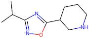 3-(3-Isopropyl-1,2,4-oxadiazol-5-yl)piperidine