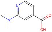 2-(Dimethylamino)isonicotinic acid