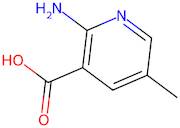 2-Amino-5-methylnicotinic acid