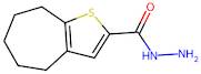 4H,5H,6H,7H,8H-Cyclohepta[b]thiophene-2-carbohydrazide