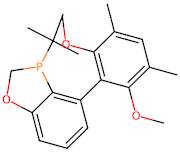 3-(tert-Butyl)-4-(2,6-dimethoxy-3,5-dimethylphenyl)-2,3-dihydrobenzo[d][1,3]oxaphosphole