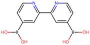 [2,2'-Bipyridine]-4,4'-diyldiboronic acid