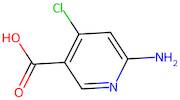 6-Amino-4-chloronicotinic acid