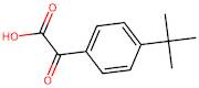 2-(4-Tert-butylphenyl)-2-oxoacetic acid