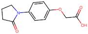 2-[4-(2-Oxopyrrolidin-1-yl)phenoxy]acetic acid