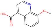 8-Methoxyquinoline-4-carboxylic acid