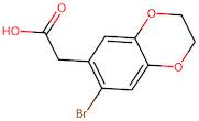 2-(7-Bromo-2,3-dihydro-1,4-benzodioxin-6-yl)acetic acid