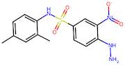 N-(2,4-Dimethylphenyl)-4-hydrazinyl-3-nitrobenzene-1-sulfonamide