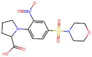 1-[4-(morpholine-4-sulfonyl)-2-nitrophenyl]pyrrolidine-2-carboxylic acid